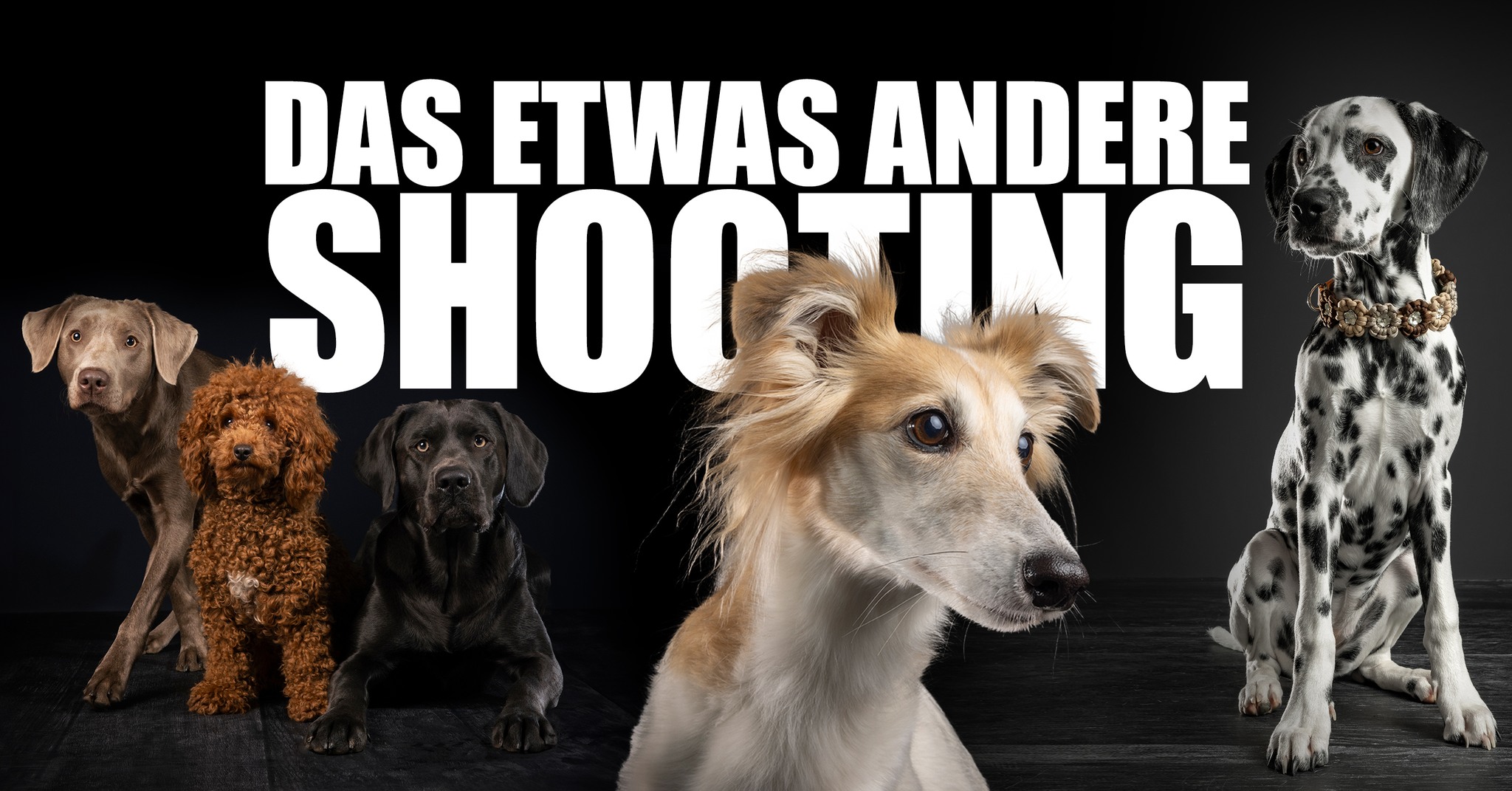 Das etwas andere Tierfotoshooting im Fressnapf XXL Kleve