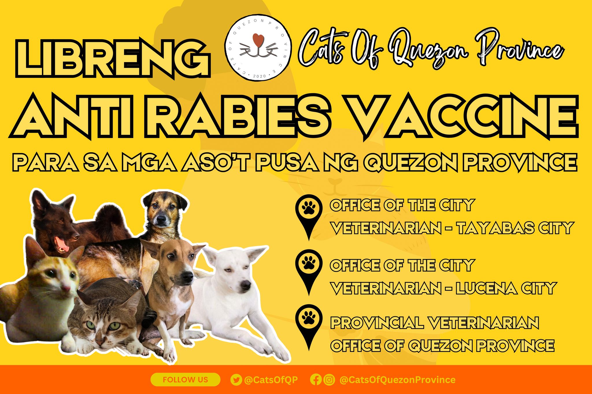 FREE ANTI-RABIES VACCINE? We... - Cats of Quezon Province | Facebook