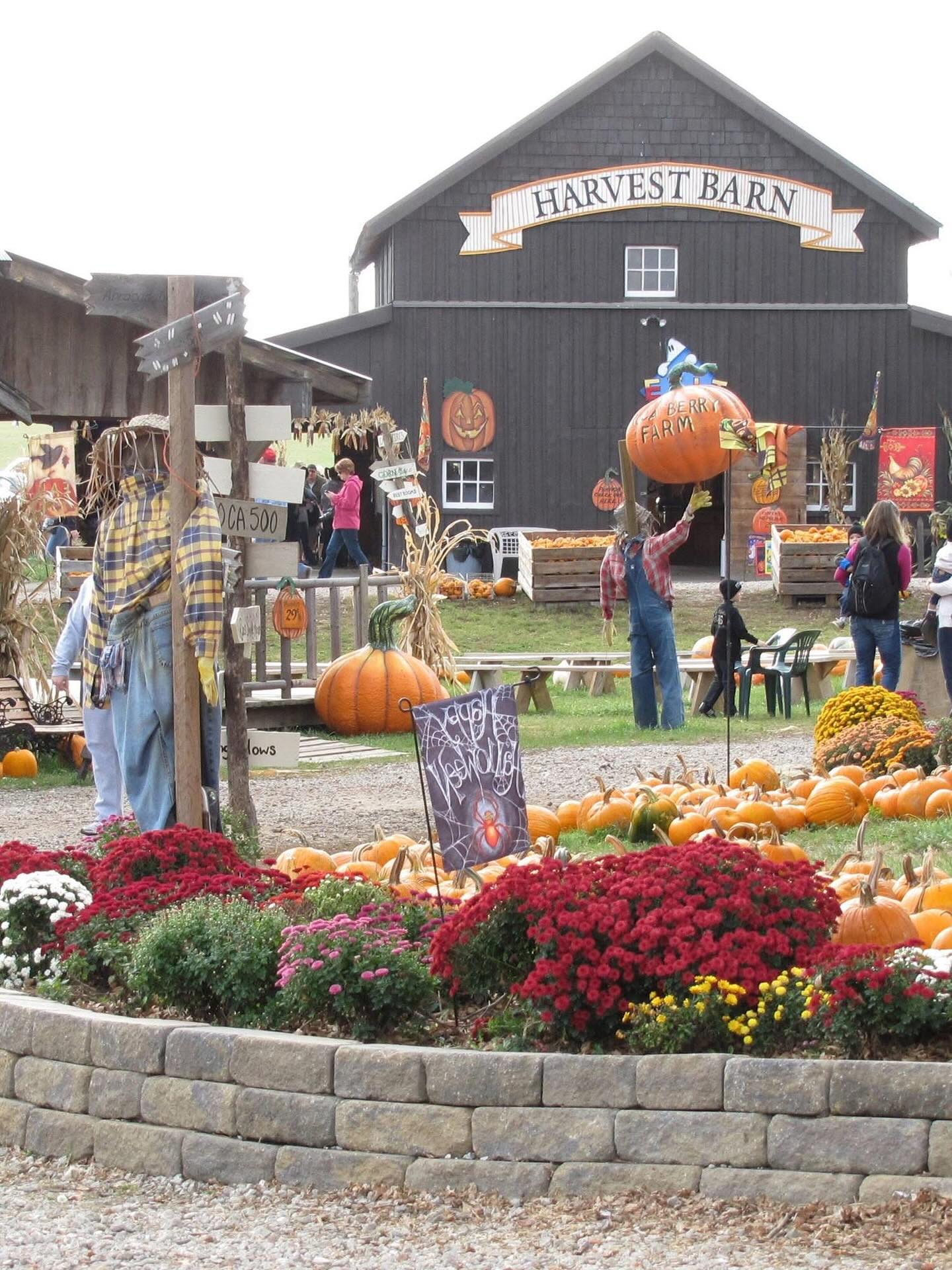 Roca Berry Farm - First pumpkin load of the year! 🎃 our season pass ...