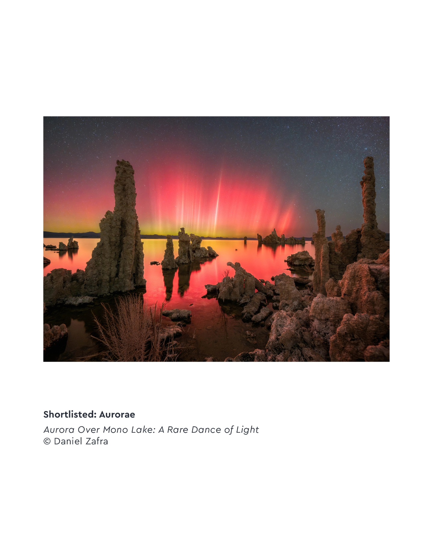 Zwo astronomy photographer of the year 2026 winners announced