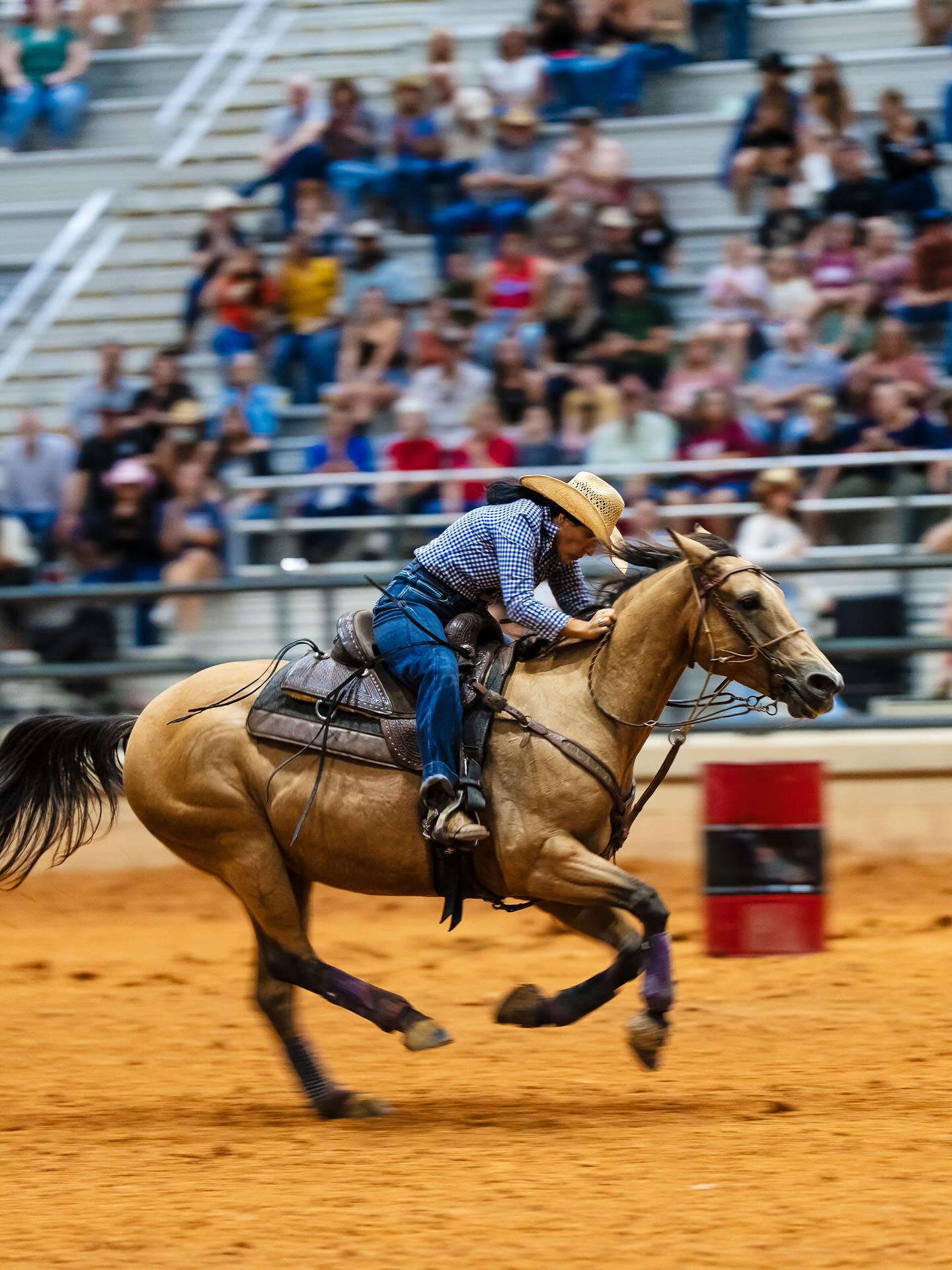 Totally - THE RODEO COMES TO TOWN! 🐴🤠 Bulls, Broncos and Bareback on ...