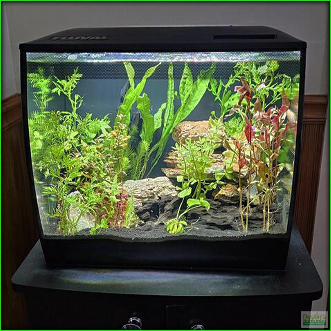 breede0r box dustins fish tanks Breeder Fish Hatchery Floating Fish Breeding Box with Removable Grating Perfect Fish Tank Divider for Agreesive Injured Pregnant Fishes : Pet Supplies The breeding boxes from Ziss Aqua have an elegant and clear exterior WishLotus Fish Breeding Box, Suspended