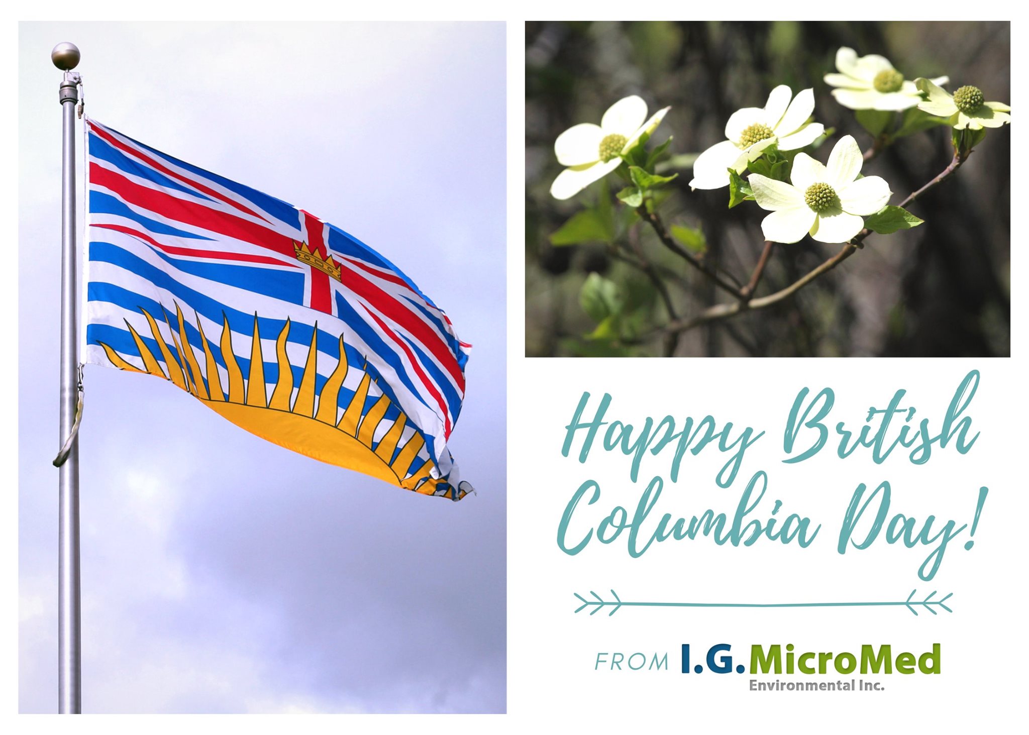IG MicroMed Environmental Inc | Richmond BC