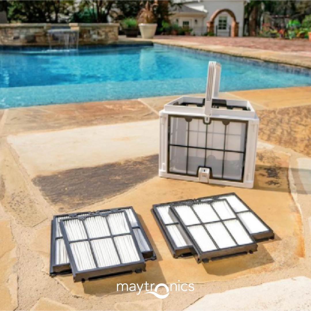 Cesto Filtro Molla Dolphin Ricondizionato - 9991459-r1 Per Pulitrice Piscina