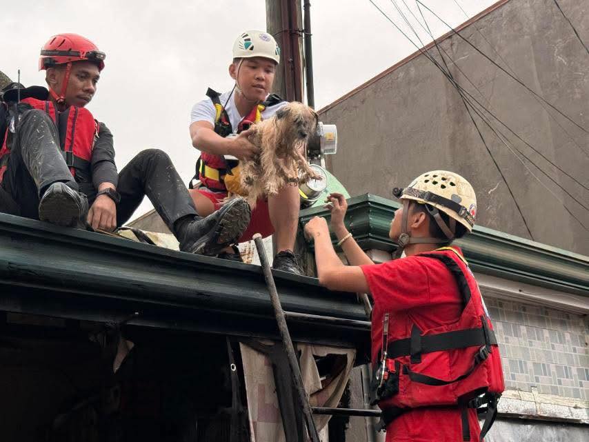 Philippine - NO PETS LEFT BEHIND🐾🐾💛 In one of the flooded areas in Cebu ...