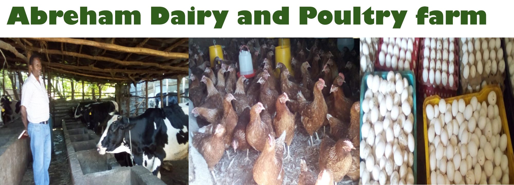 Meet... - Africa Agribusiness Academy -Ethiopia | Facebook