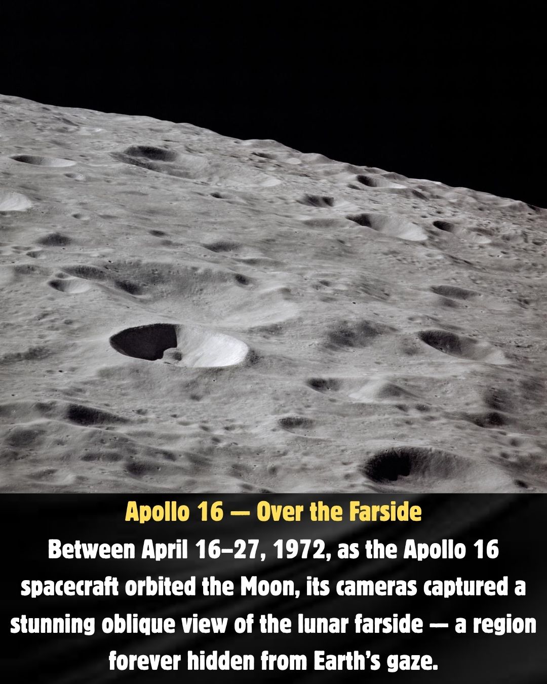 The classic Gadamis 003, a ferroan anorthosite lunar. Nicknamed