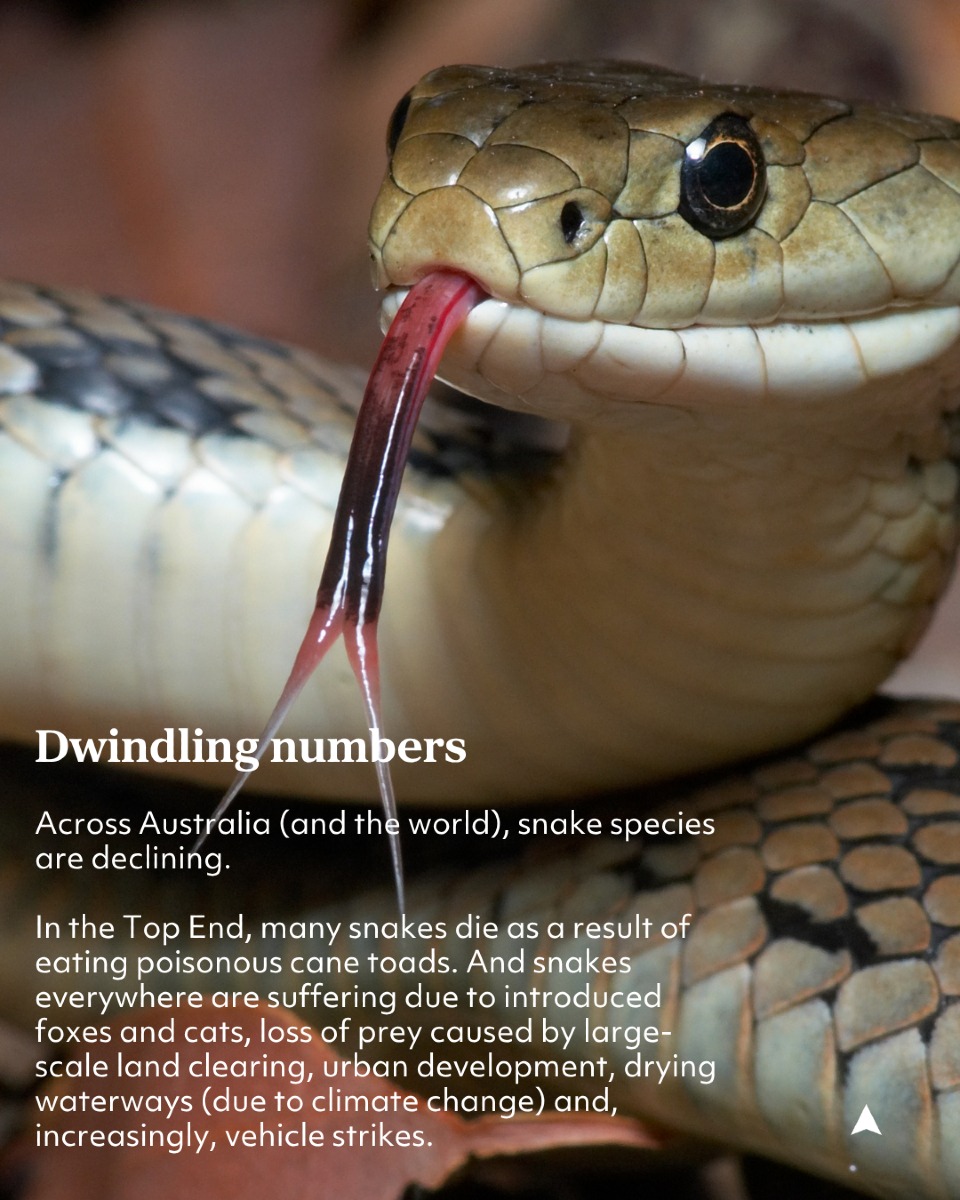Gallery Detail: Australian Geographic Added A New