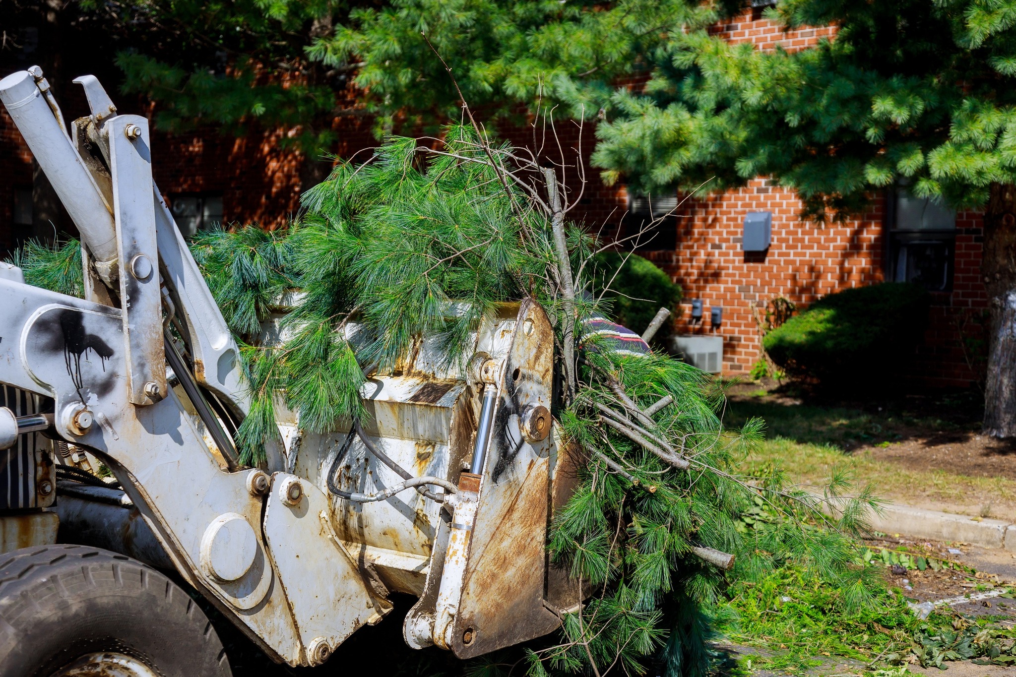 Montgomery Tree & Stump Removal | Huntsburg OH