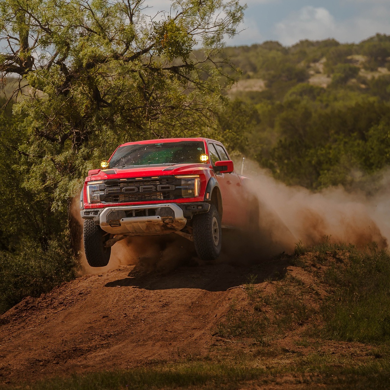 Texas Raptor Runs added a new photo. - Texas Raptor Runs
