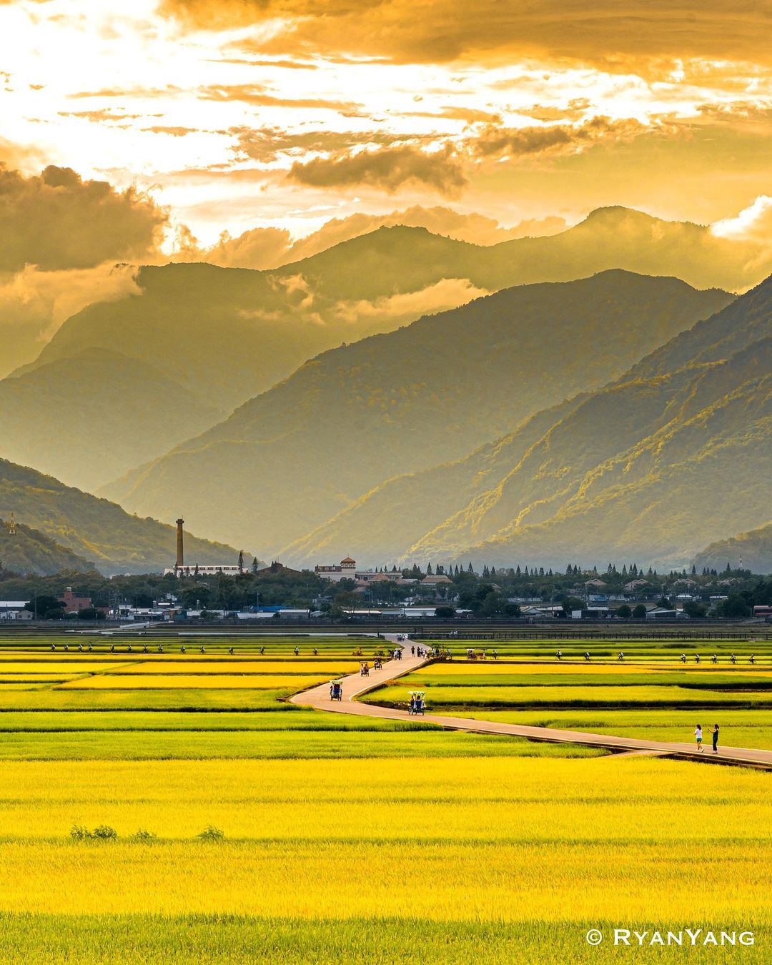 走吧！一起去旅行 - 池上的美在夕陽下最能看見，金黃稻浪隨風搖曳，昏黃一片身心都舒暢💛 - 📍台東縣池上鄉...