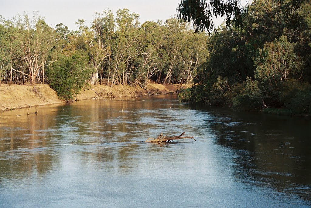 The Riverina State
