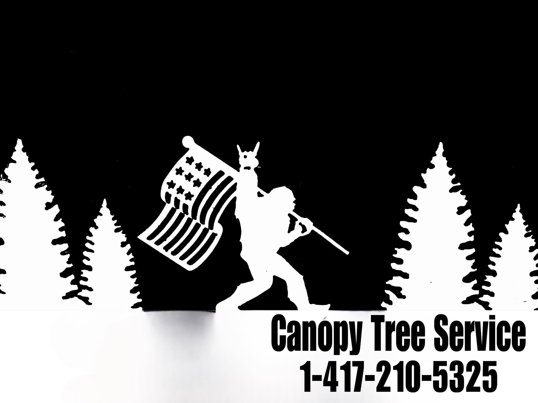 Canopy Tree Service | Springfield MO