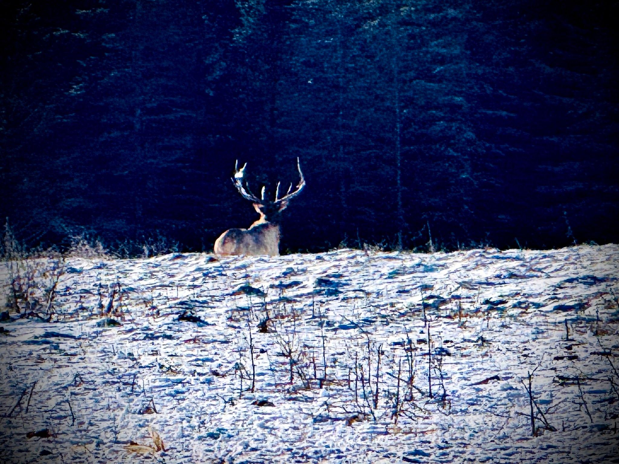 Freedom Ranch 906 LLC. | Cornell MI
