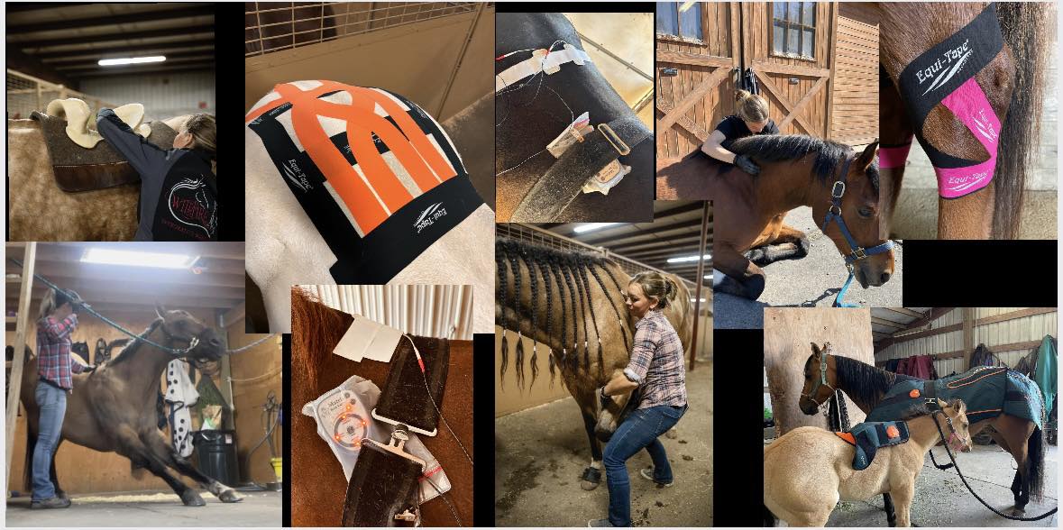 Raven Tree... - Raven Tree Stables LLC: Equine & K9 Education