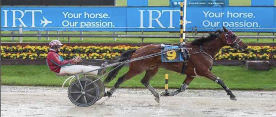 Gavin Smith Racing Stables | Woodend