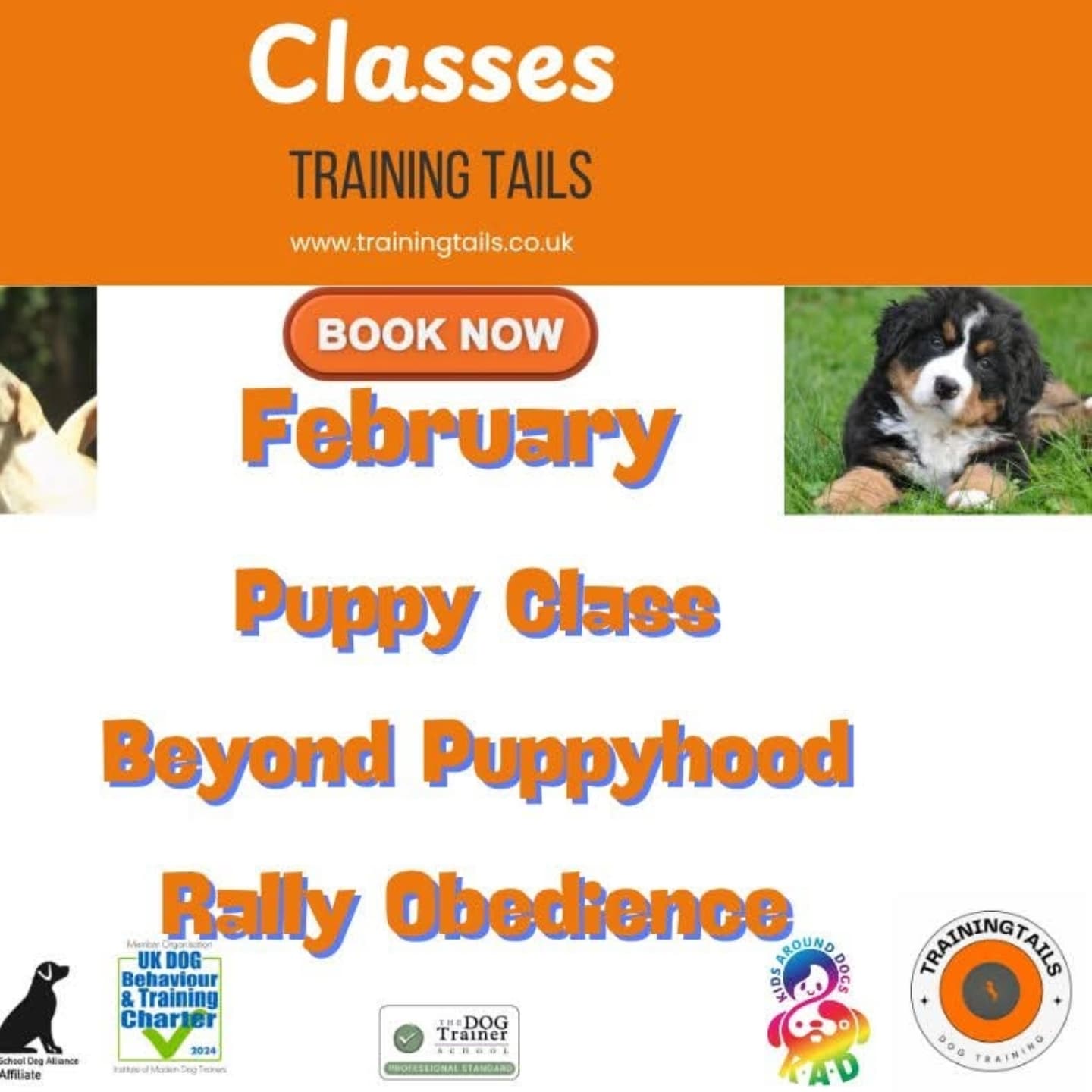 Training Tails - Lots of classes and workshops to choose...