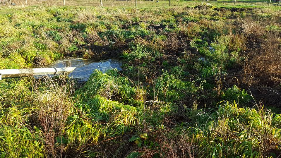 Dairy Effluent Pond Pumping Ltd | Timaru