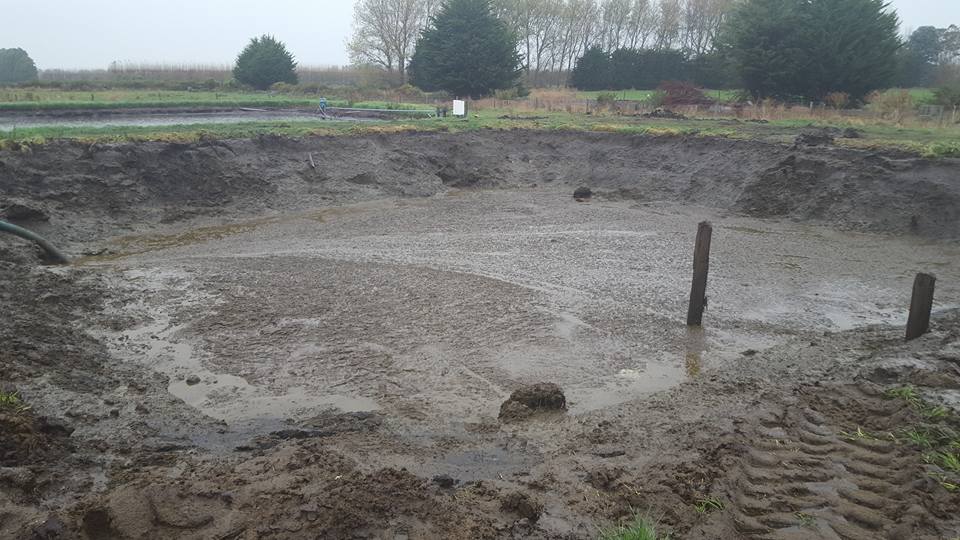 Dairy Effluent Pond Pumping Ltd | Timaru