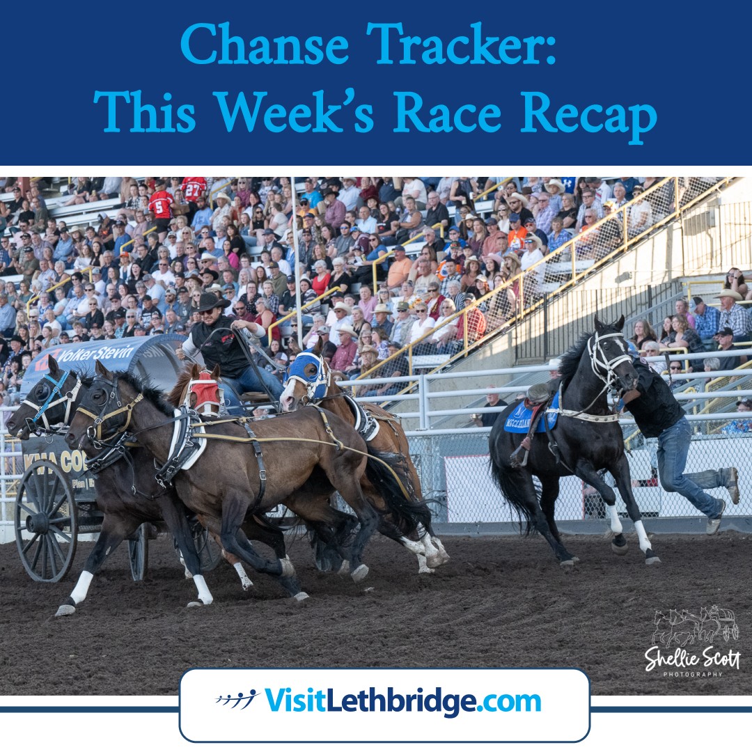 Chanse Vigen Chuckwagon Team