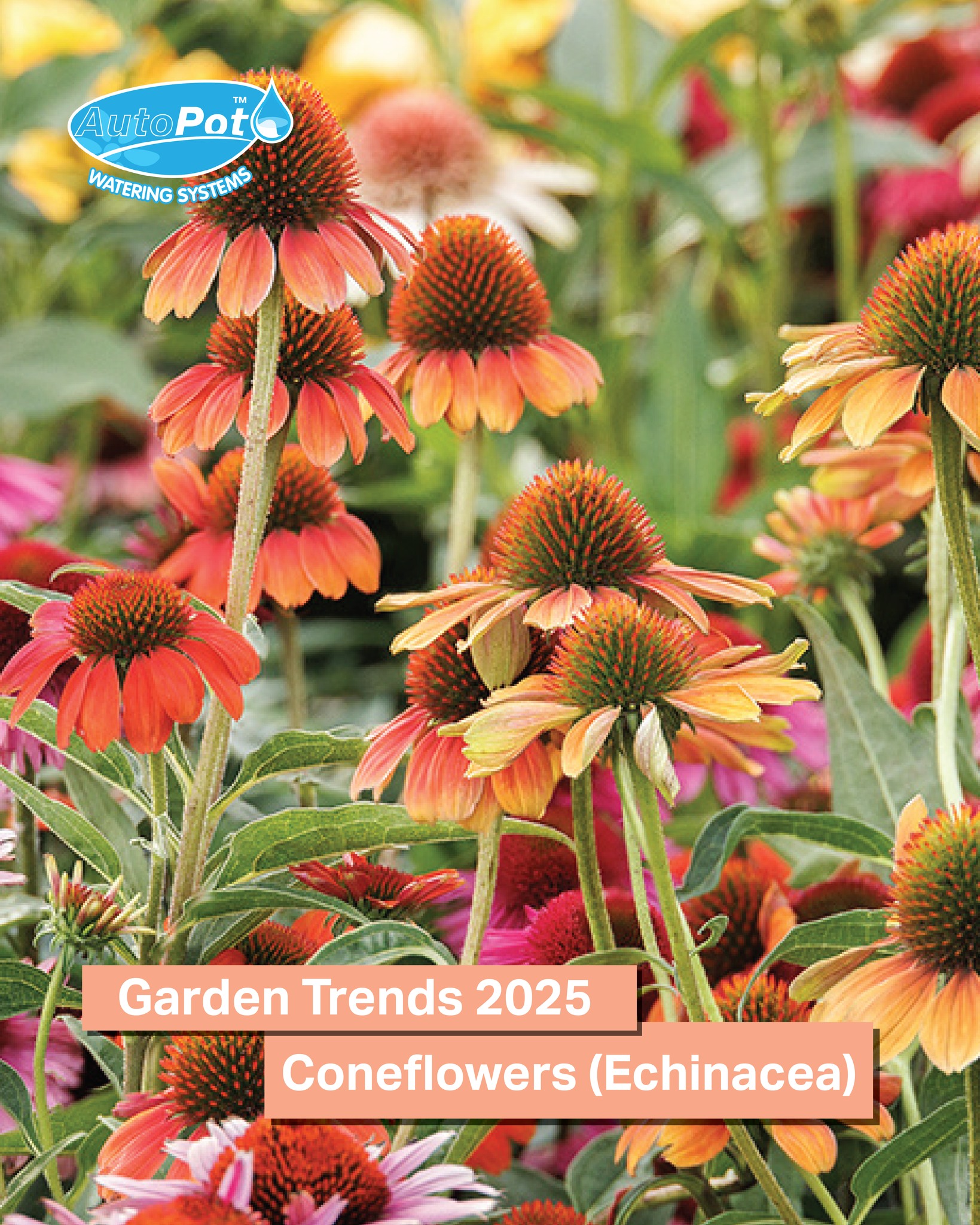 AutoPot Watering Systems | Farnborough