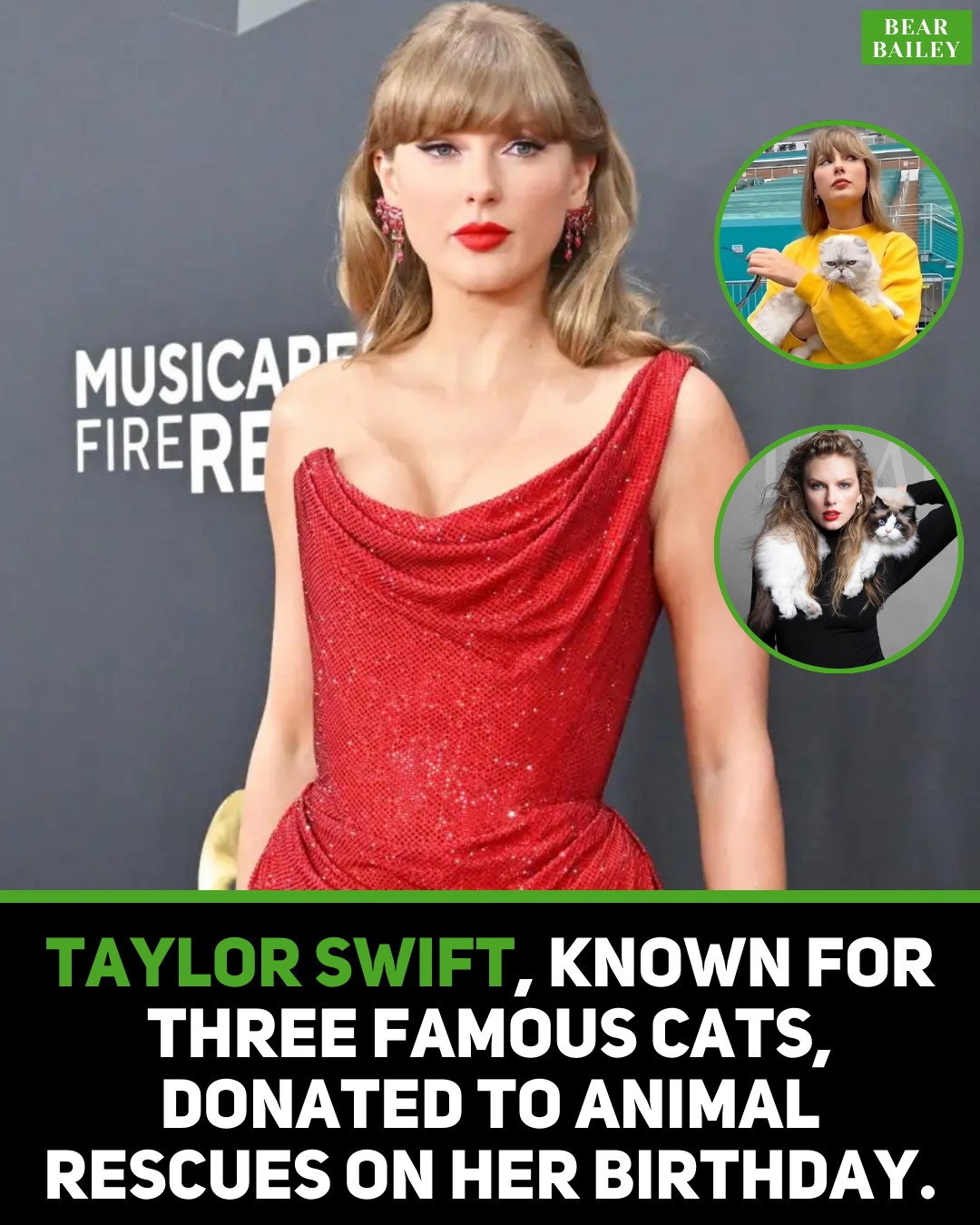 Bear Bailey - Taylor Swift, a devoted cat mom to three... | Facebook