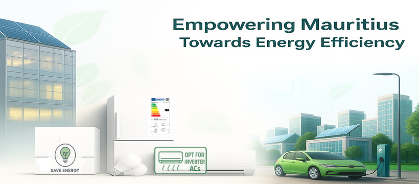 Energy Efficiency Management Office - EEMO