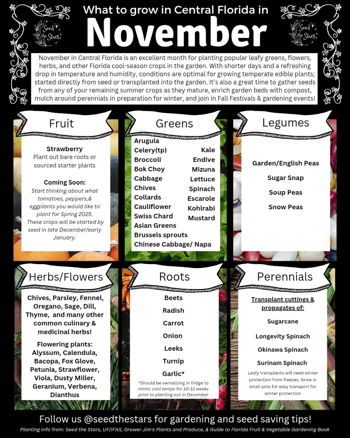 Seed - November in Central Florida is an excellent month for planting ...