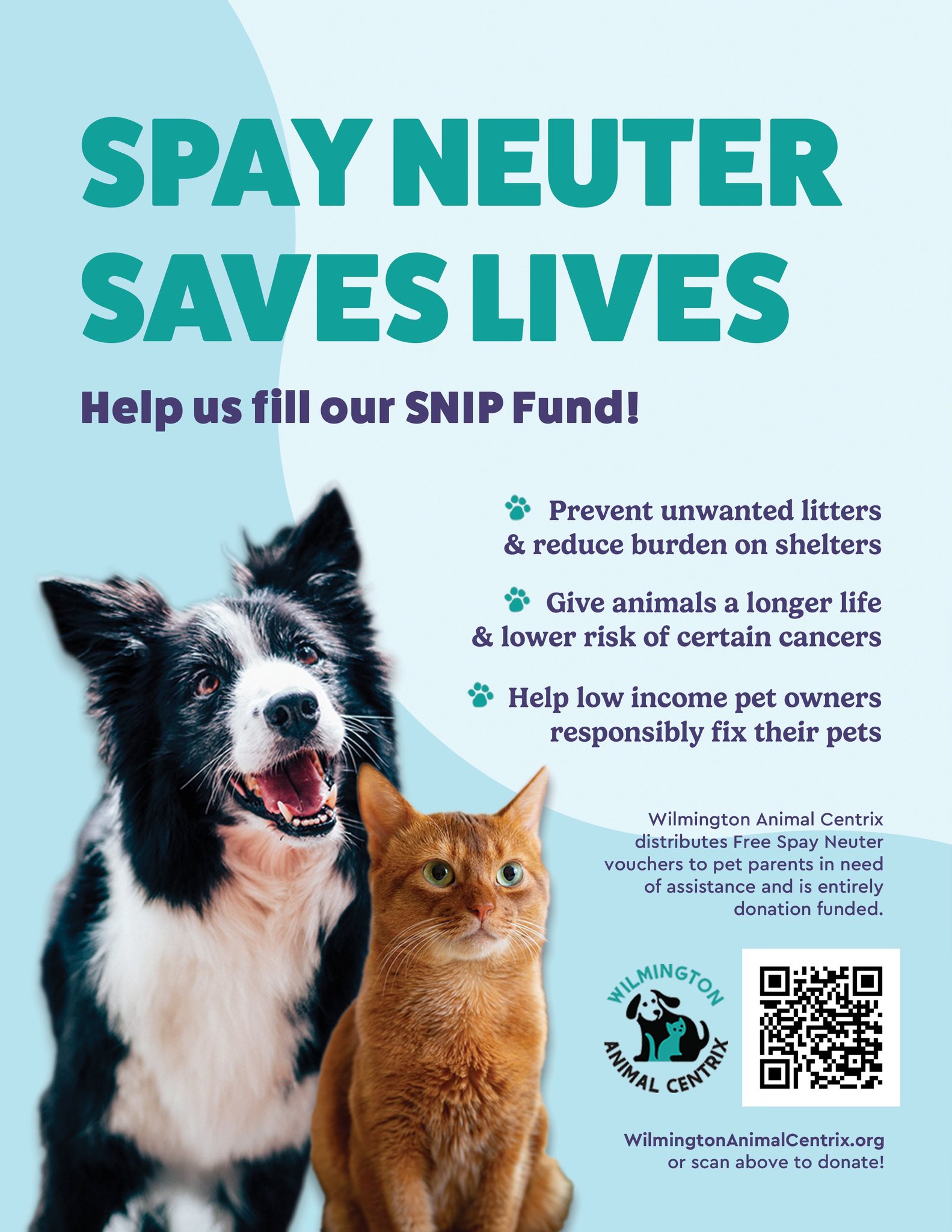 Spaying Or Neutering To Prevent Fleas On A Low Income