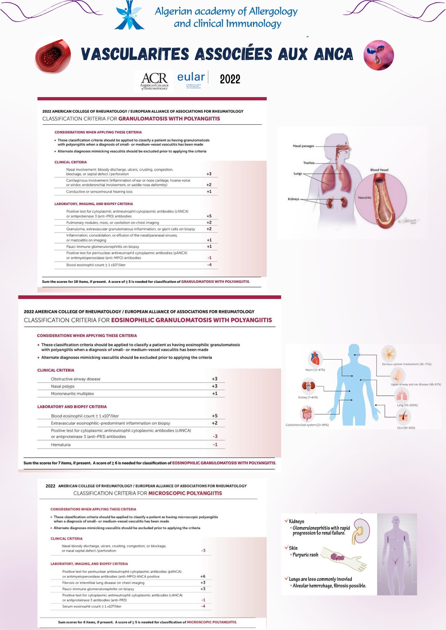 AAAIC - 💫De nouveaux critères de classification des vascularites ...