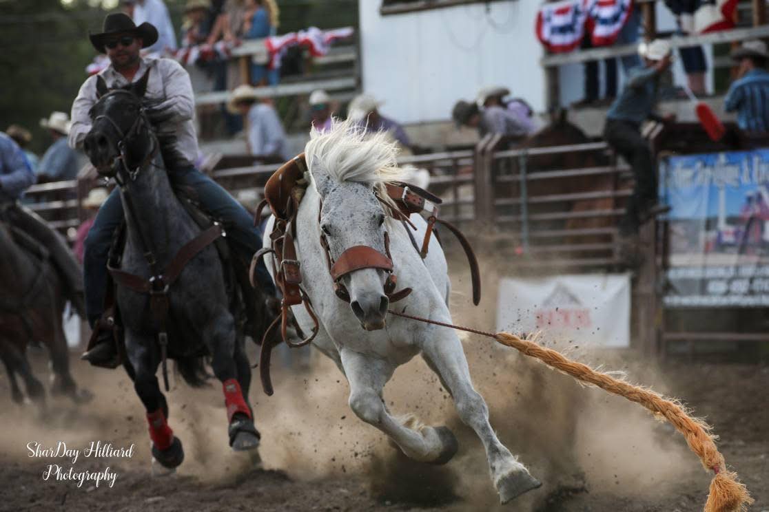 Brash Rodeo | Columbia Falls MT