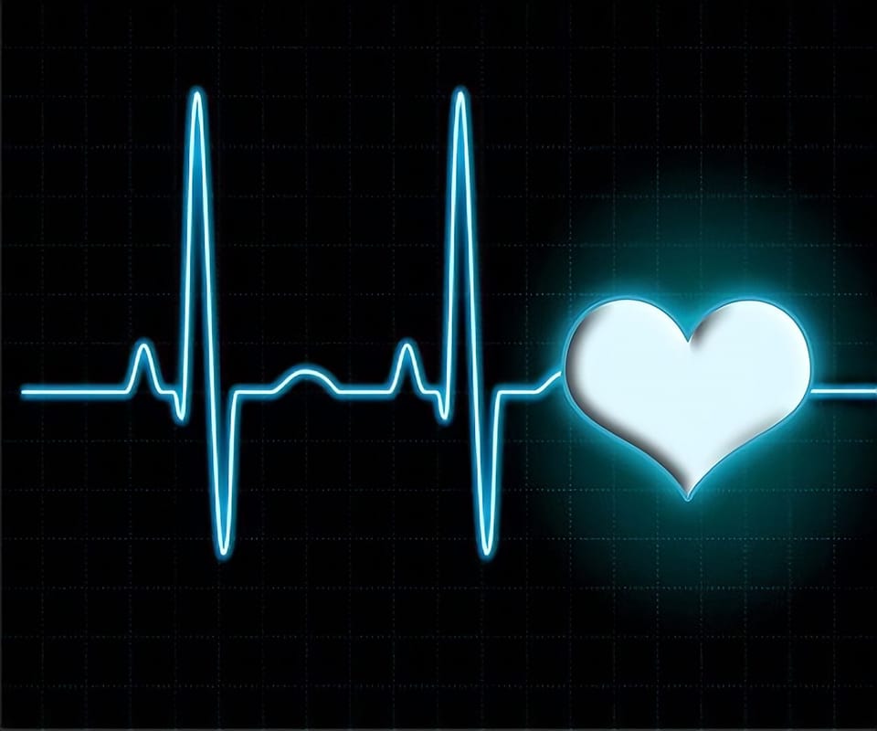 💞᭄𝓗𝓮𝓪𝓻𝓽 ⃝ᶫᵒꪜe ️heart࿐💞