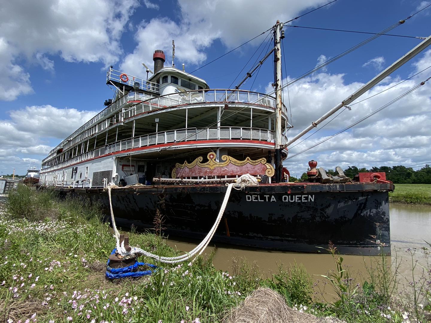 Steamboat Delta Queen added a new... - Steamboat Delta Queen