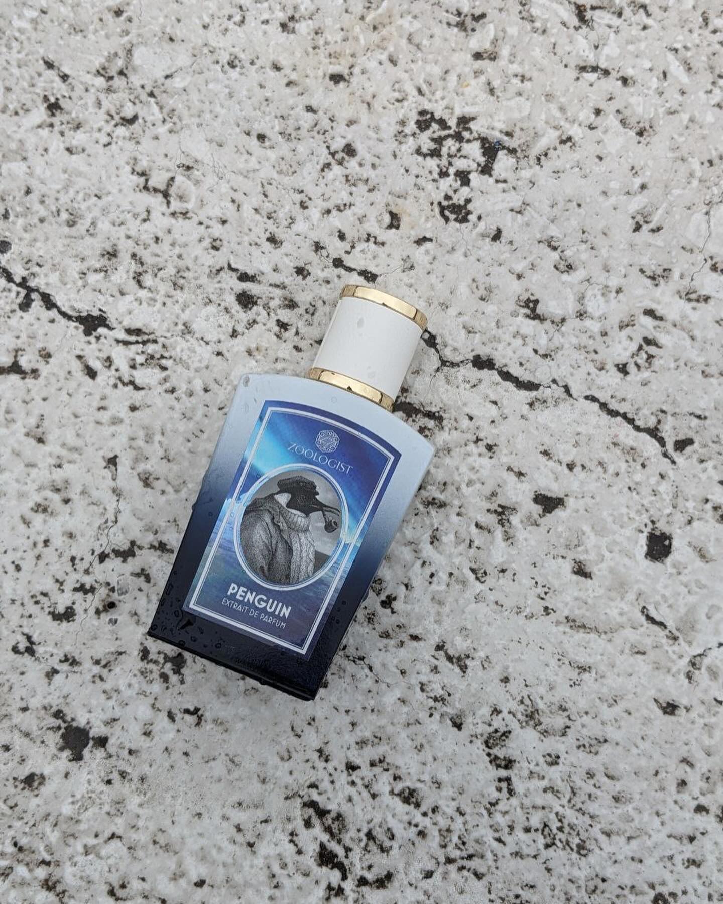 The fragrance Penguin by Zoologist begins with the captivating 