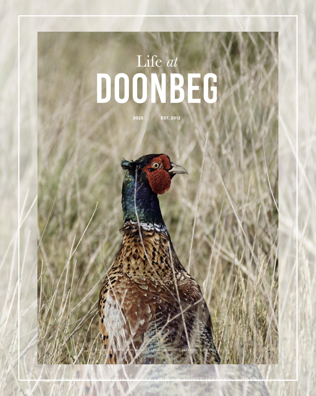 Trump - We’re thrilled to introduce the 2025 edition of Life at Doonbeg ...