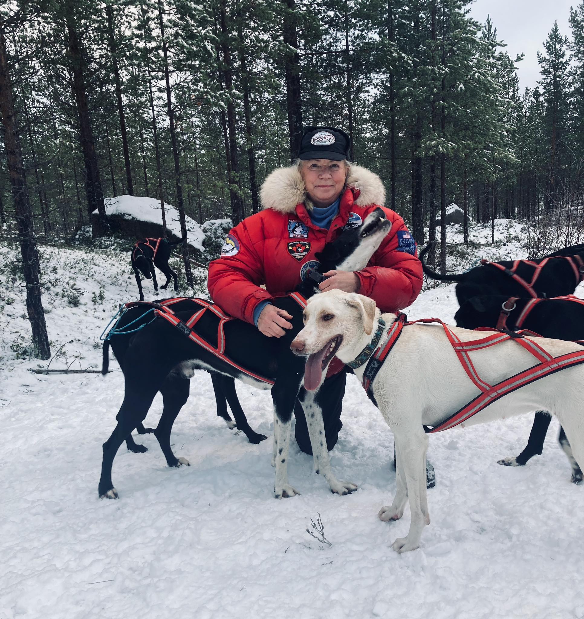 ifss-international-federation-of-sleddog-sports