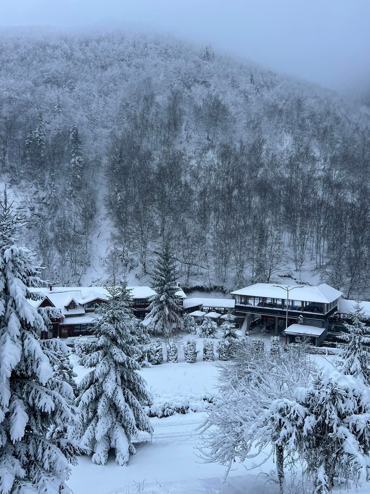 Restaurant RugovaCamp-RUGOVË | Pejë