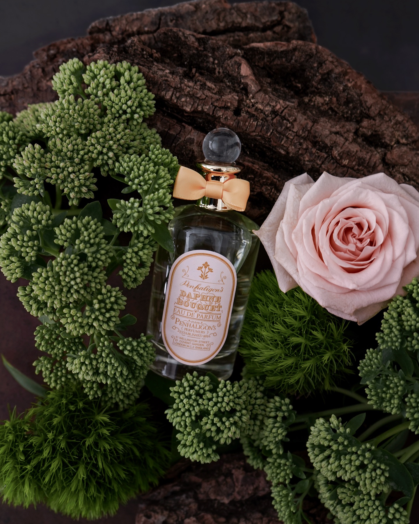 Pre-launch ! Discover Daphne Bouquet by Penhaligon