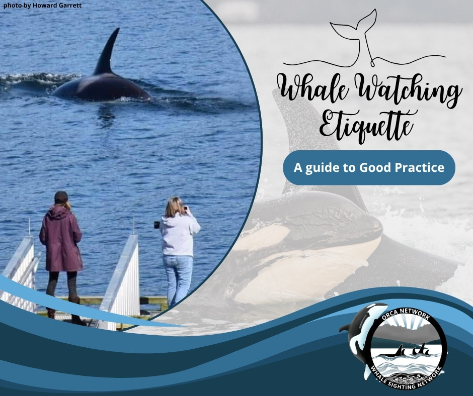 Orca Network - Some important information to keep in... | Facebook