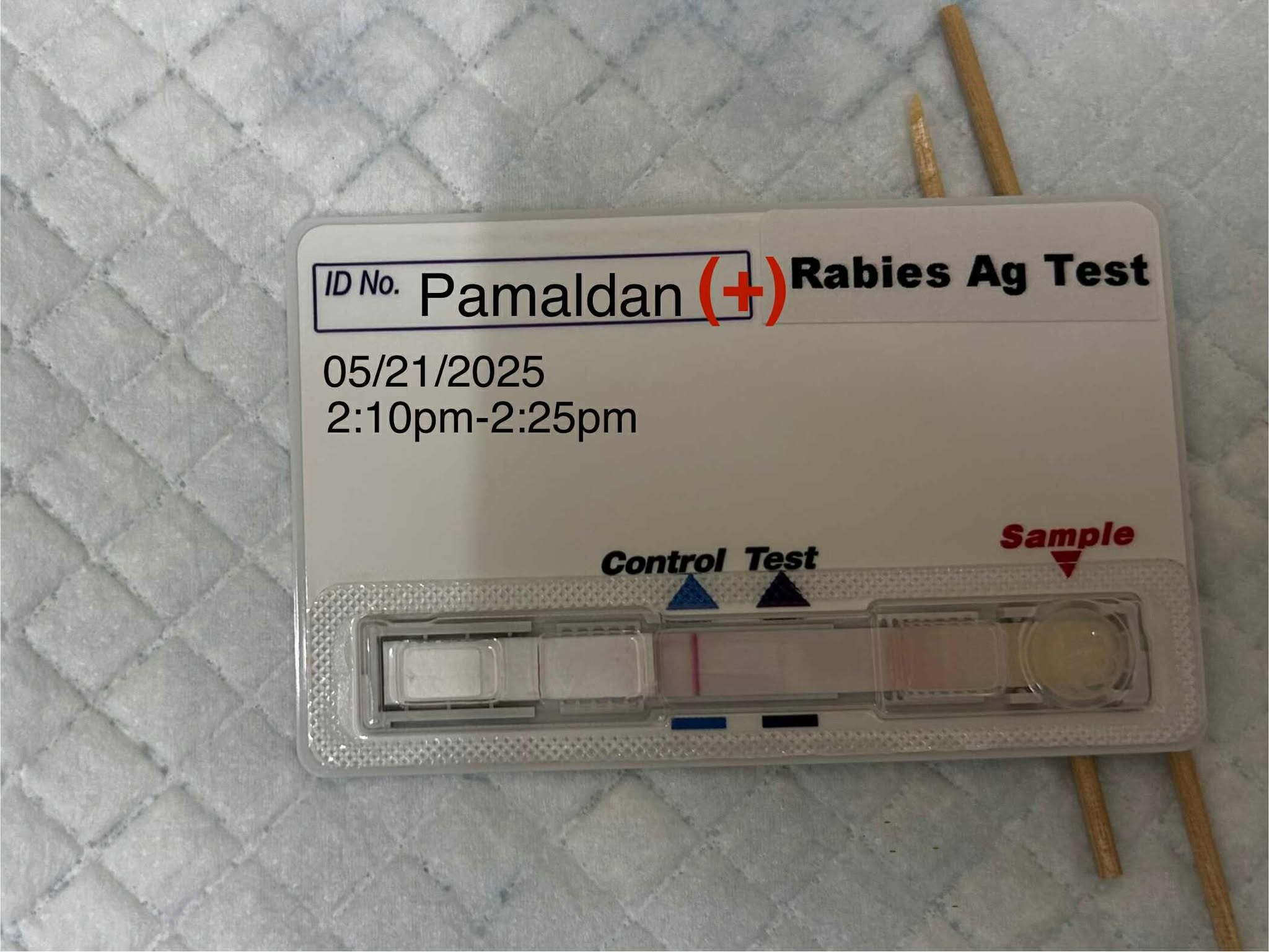 Cabanatuan City... - Cabanatuan City Veterinary Office Page