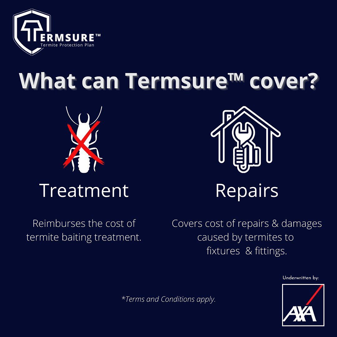 Termites, a form of... - Termsure Termite Protection Plan | Facebook