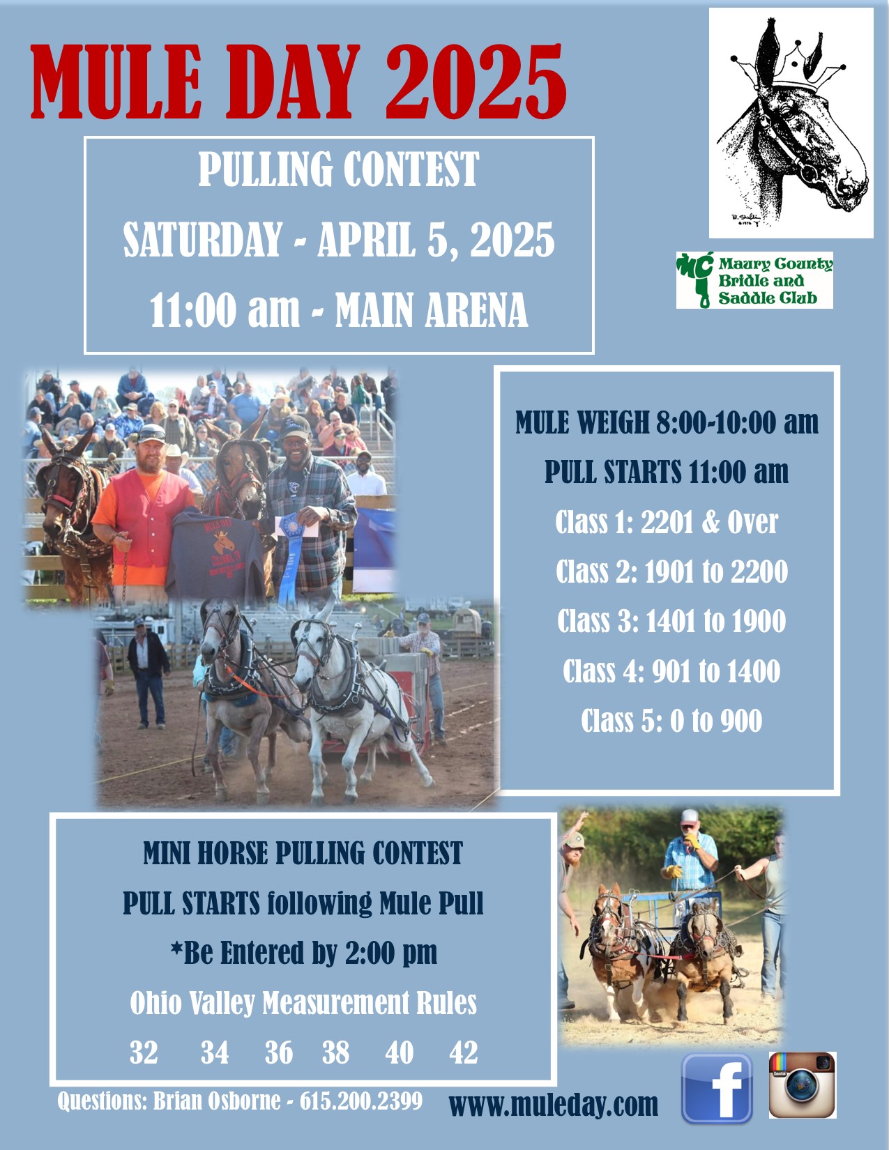 2025 Mule Day Mule Pulling!... - Mule Day Columbia, TN | Facebook