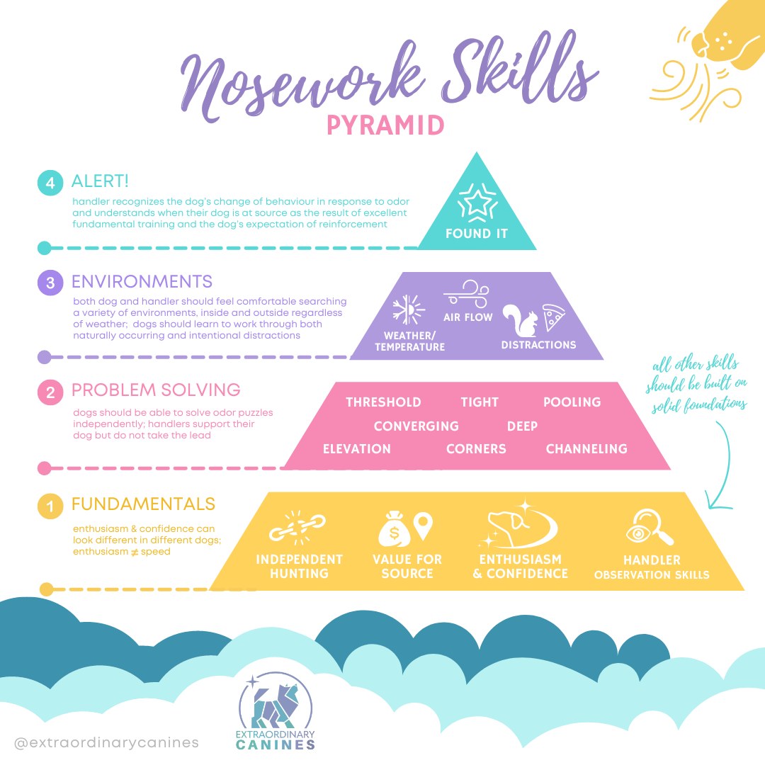 All of our skills in K9 Nose Work... - Extraordinary Canines