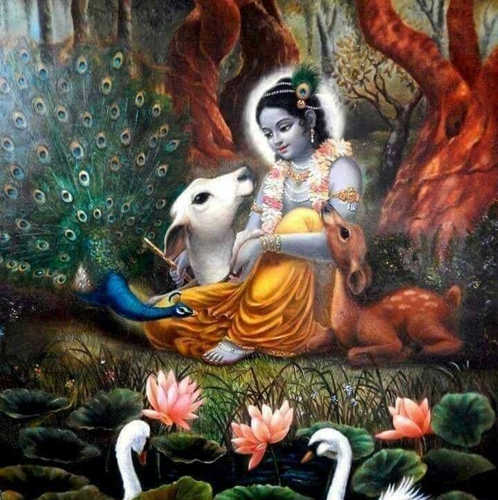 Durjoy Halder