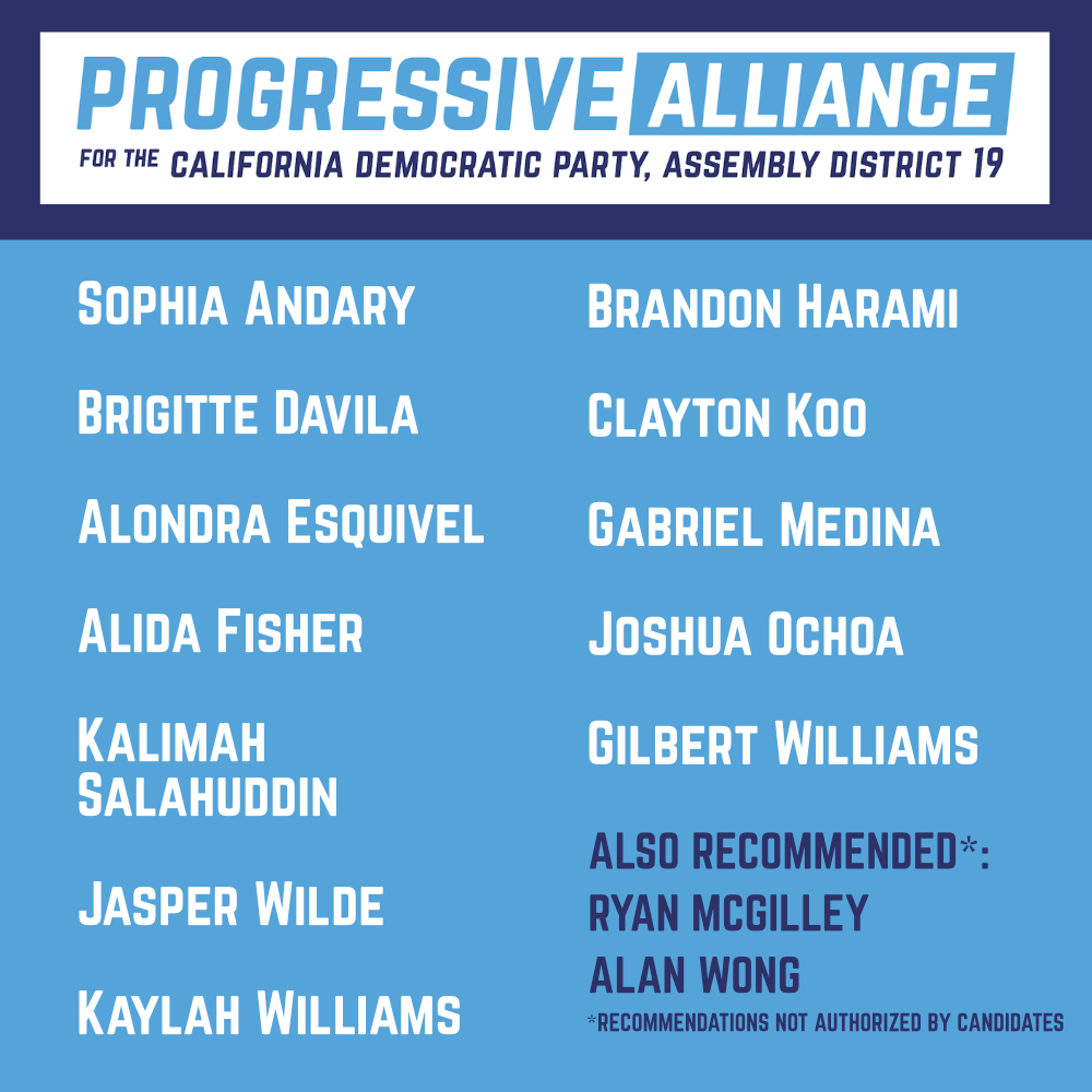 Progressive Alliance for AD-19