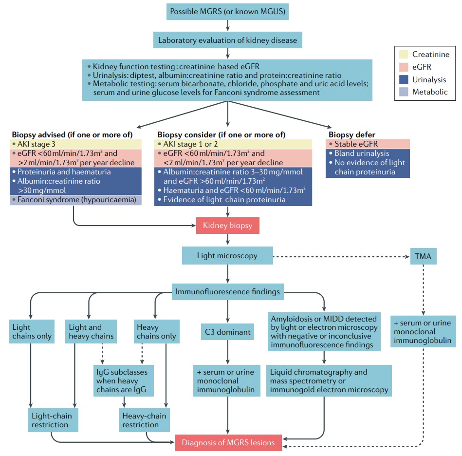 Algorithm for kidney... - Philippine Society of Nephrology | Facebook