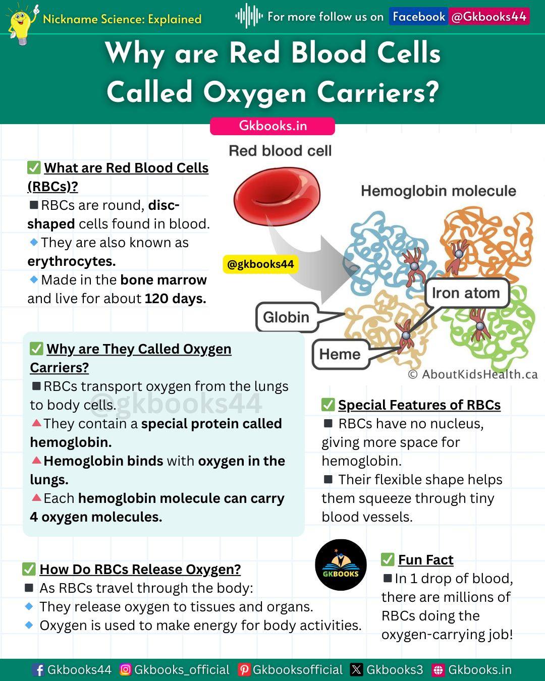 Gkbooks - Why Are Red Blood Cells Called Oxygen Carriers? 🩸💨 Did you ...
