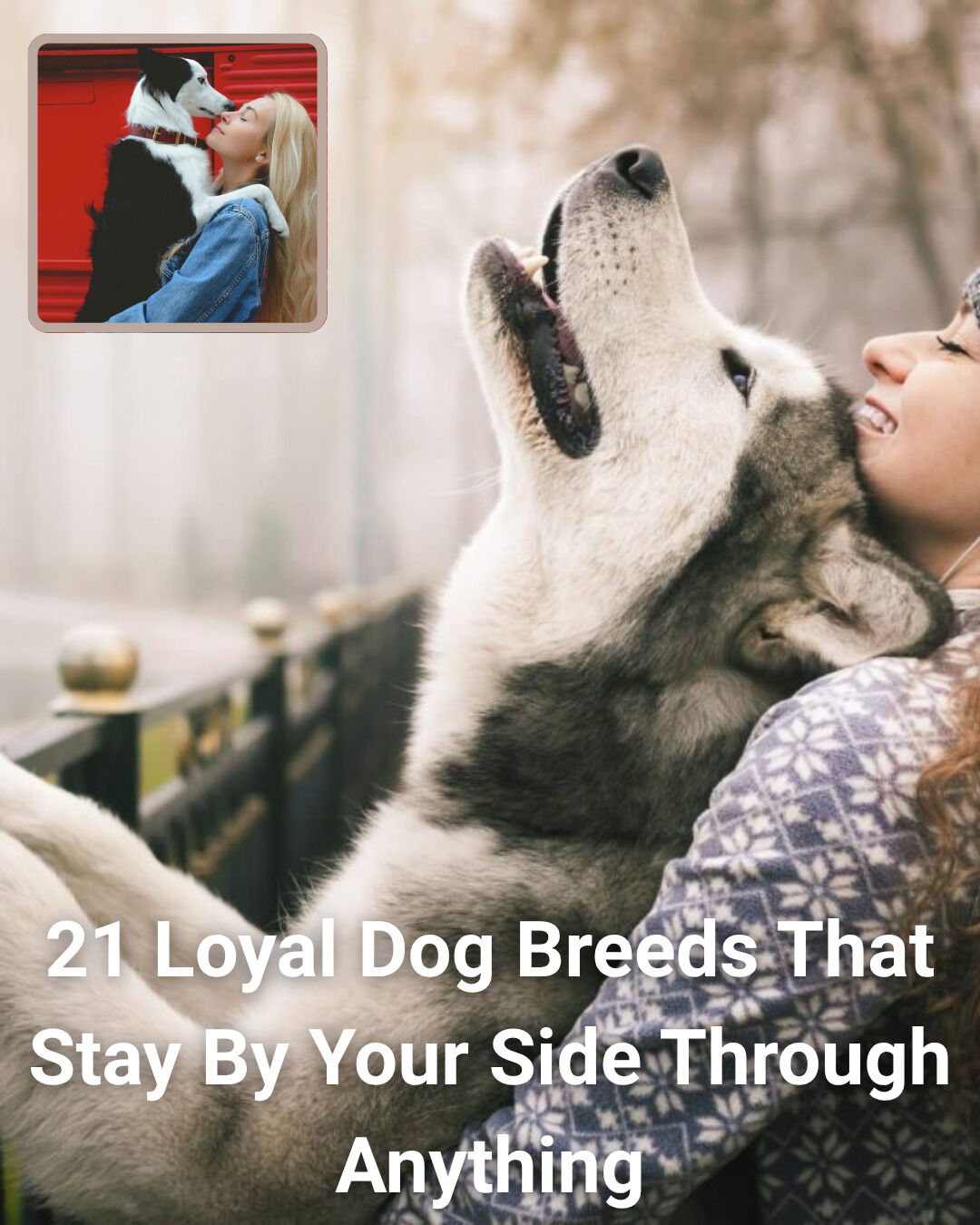 iHeartDogs - By your side, come rain or squirrel chase 🌧️ ️ | Facebook
