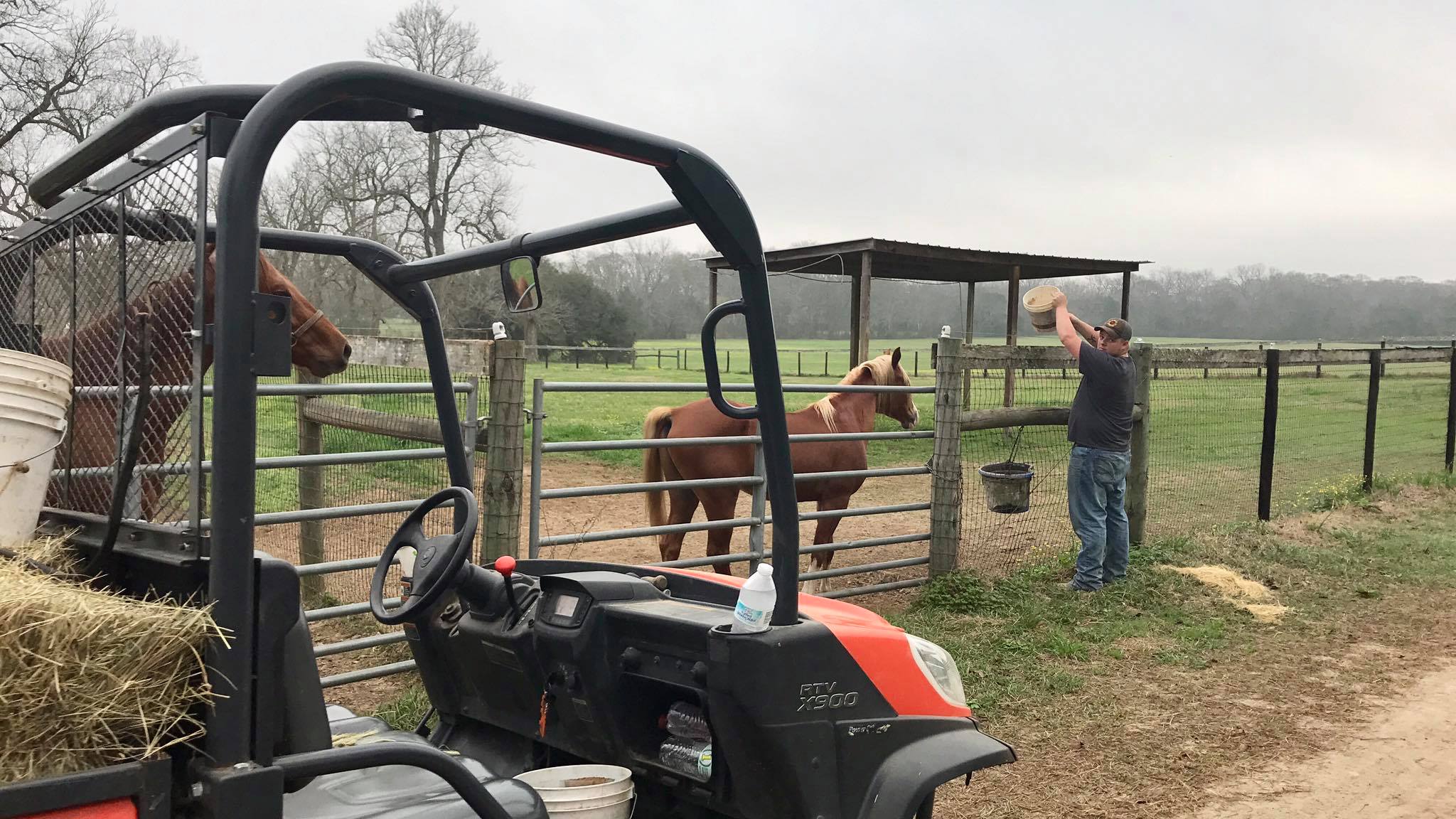 Cherokee Ridge Horse Farm | Carencro LA