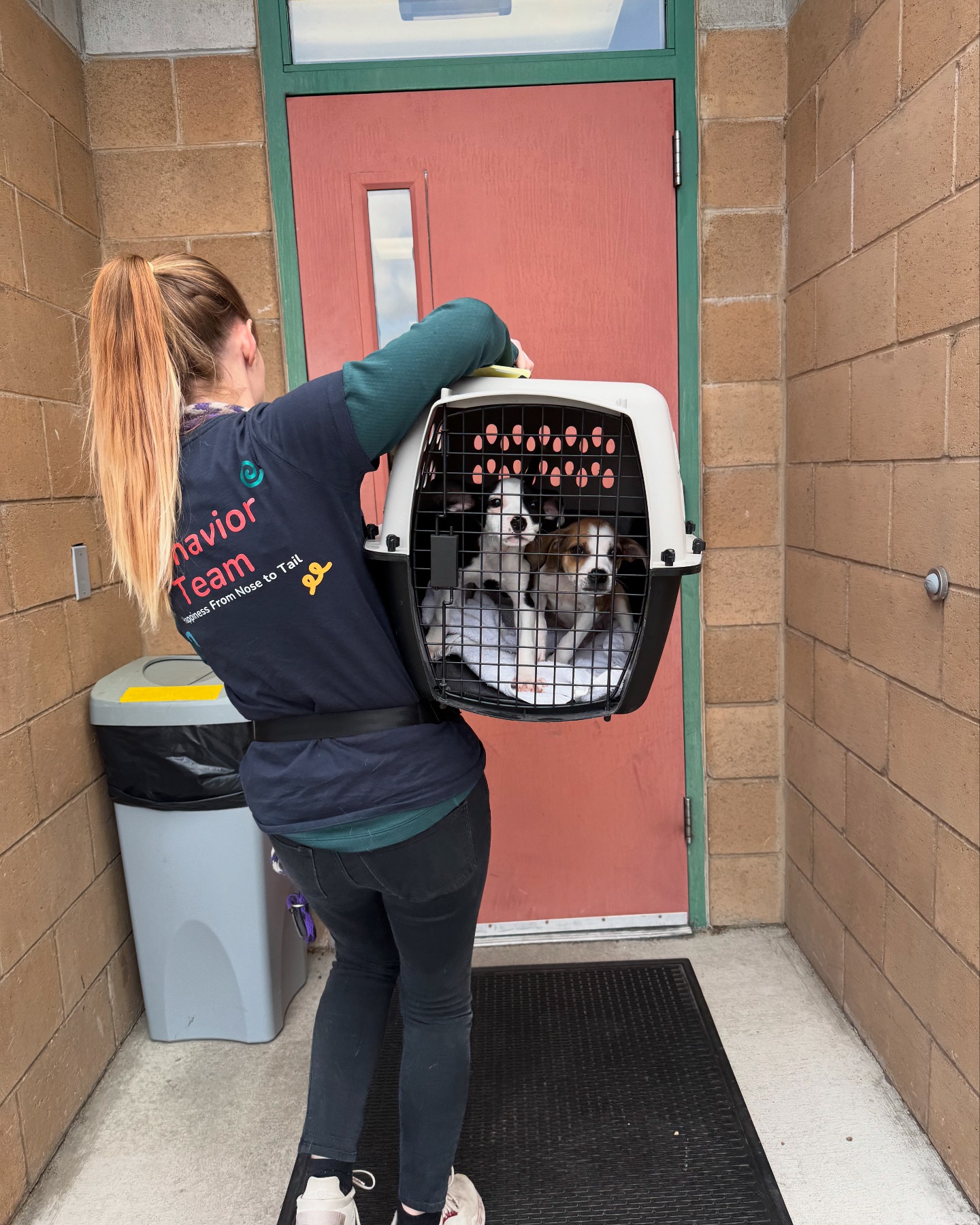 Nevada Humane Society - Big things happen when communities come ...